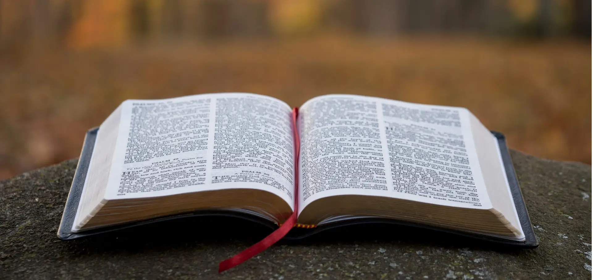 Open Bible