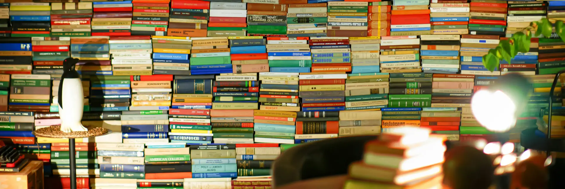 Shelves stacked high with colourful books, lit by a warm lamp